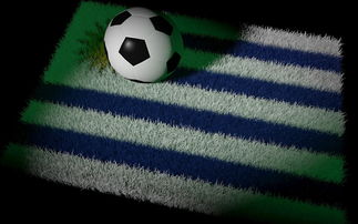 乐鱼电脑版官网-巴西足球队备战世界杯，状态火热，巴西足球 世界杯